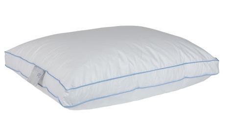 Kussen Optisleep_310_1000 gram_eendenveren_30 procent_slaapkenner_Theo Bot